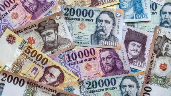 Mennyibe kerül a vizsga? Mennyibe kerül a vizsga?